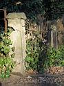 Neust.Friedhof (102)